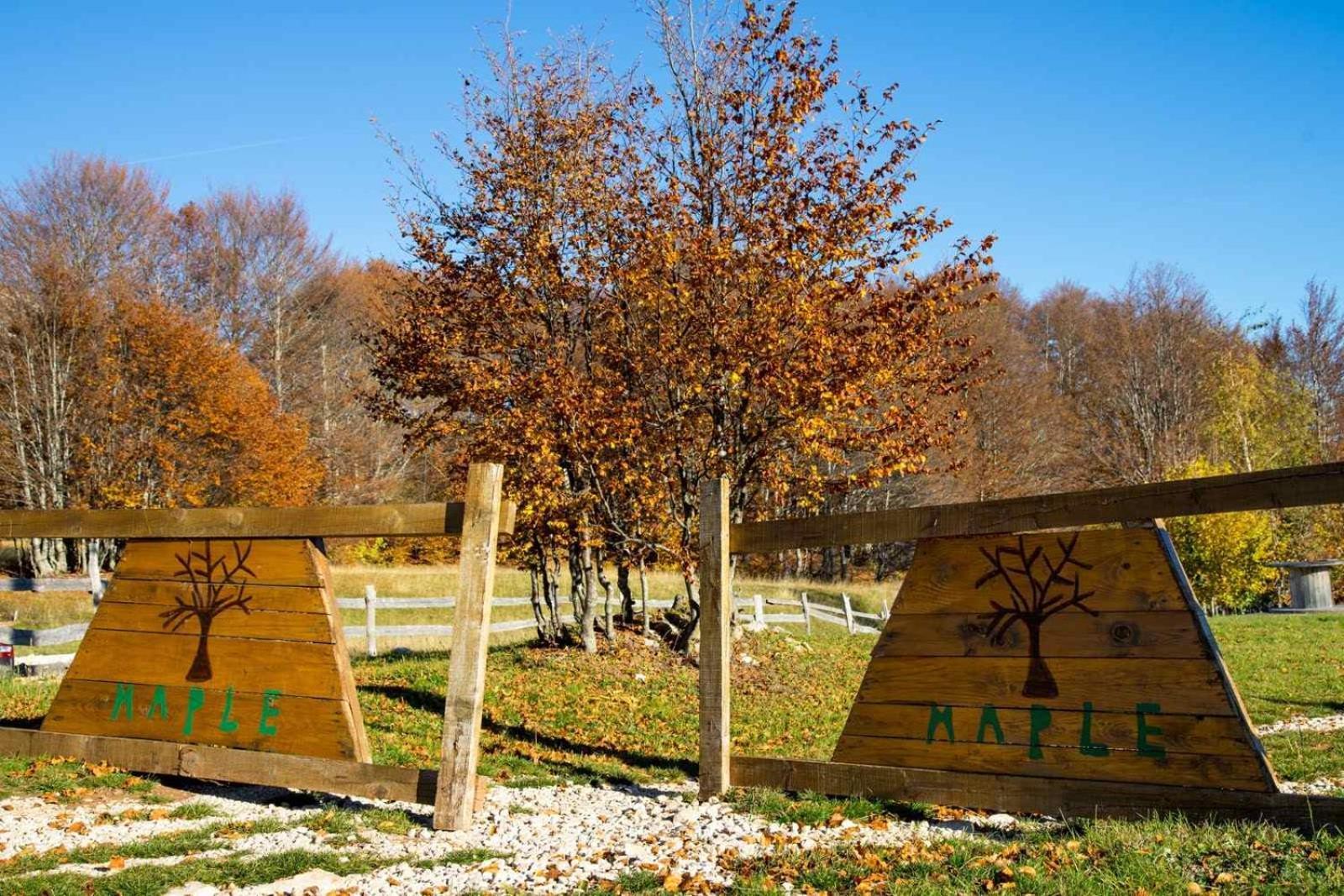 Maple Bungalows Žabljak エクステリア 写真