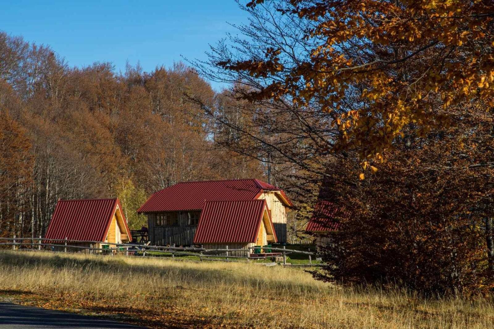 Maple Bungalows Žabljak エクステリア 写真